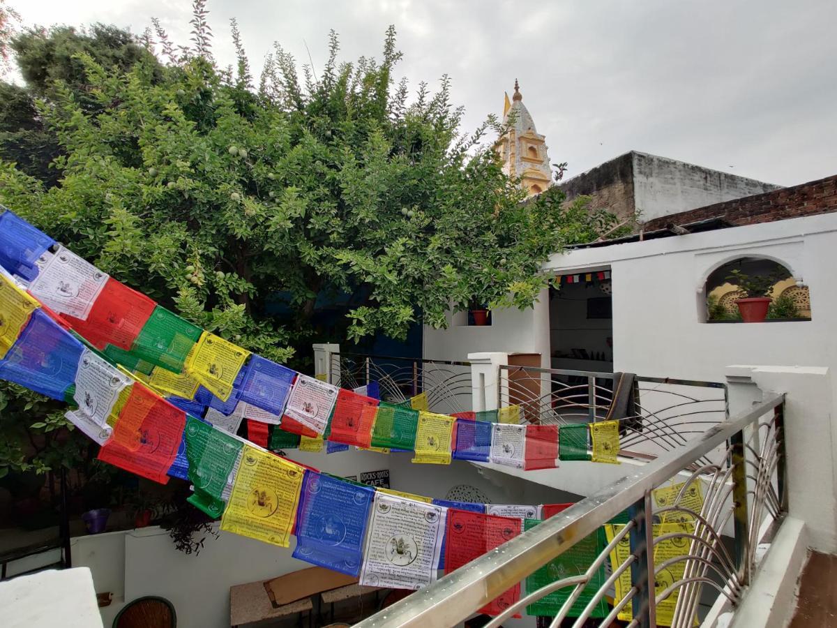 Auberge de jeunesse 12 Monks Backpackers Community à Pushkar Extérieur photo