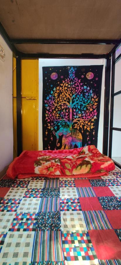 Auberge de jeunesse 12 Monks Backpackers Community à Pushkar Extérieur photo