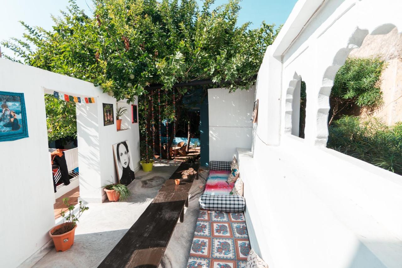 Auberge de jeunesse 12 Monks Backpackers Community à Pushkar Extérieur photo