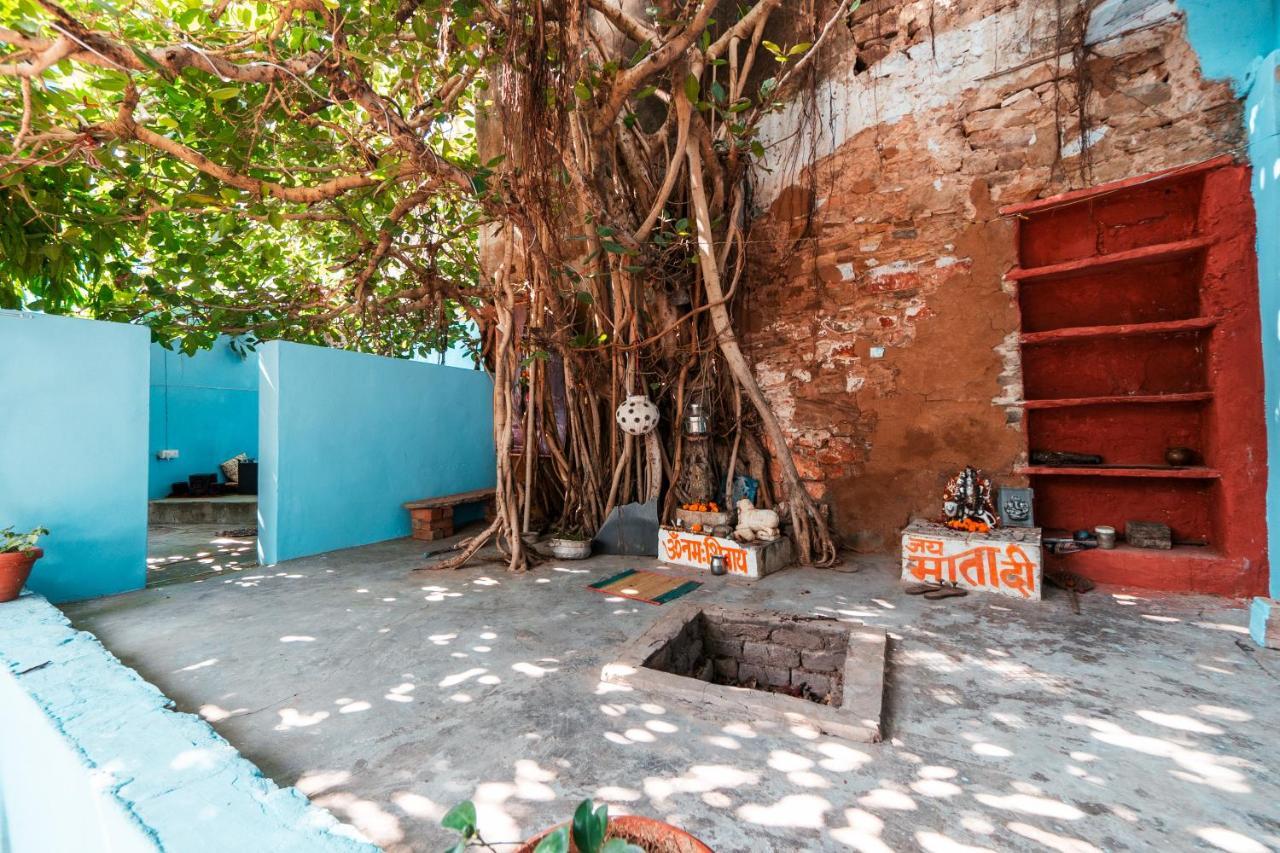 Auberge de jeunesse 12 Monks Backpackers Community à Pushkar Extérieur photo